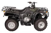 2012 BamX BX250-U Back Country photo